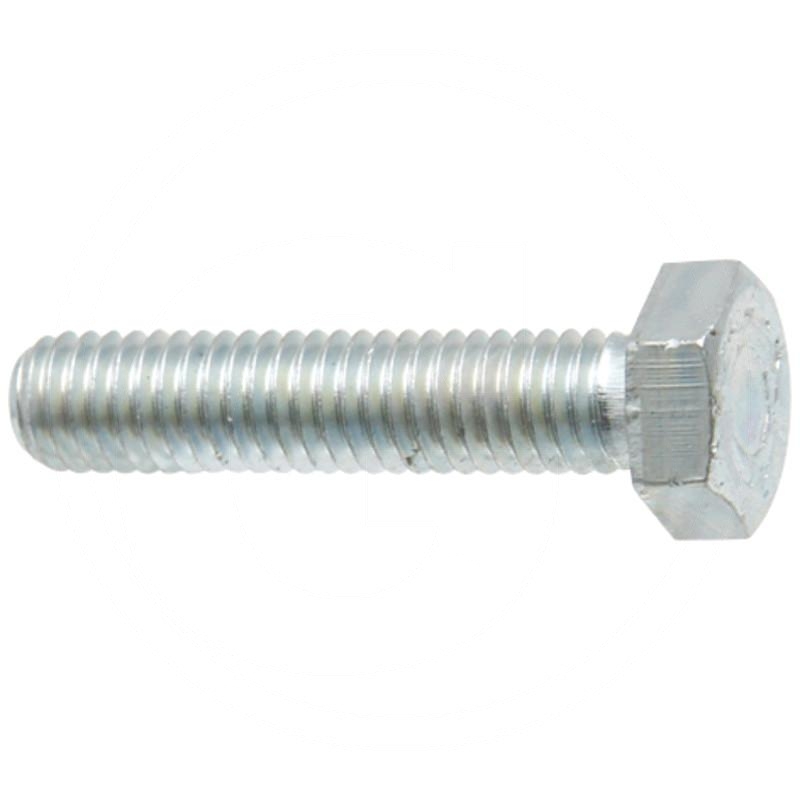 Bolt | zdjęcie nr 1