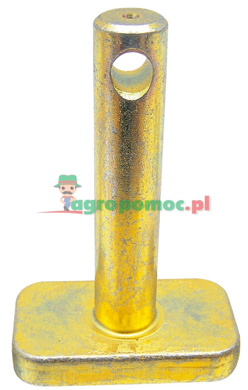 Bolt | zdjęcie nr 1