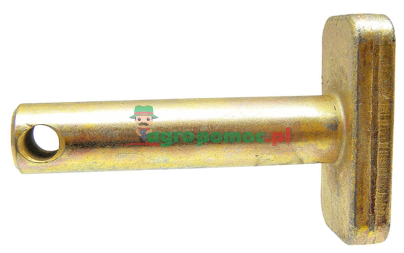 Bolt | zdjęcie nr 1