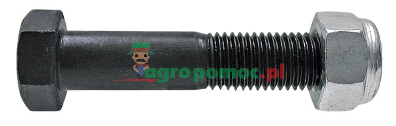 Bolt with nut | zdjęcie nr 1