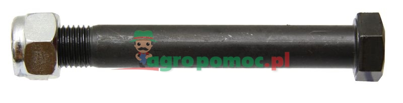 Bolt with nut | zdjęcie nr 1