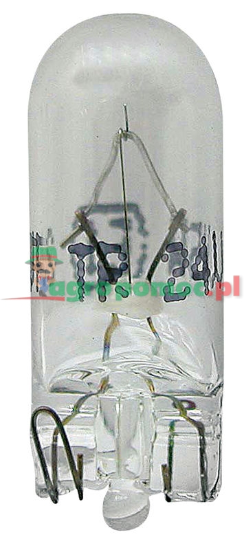 Bulb | zdjęcie nr 1