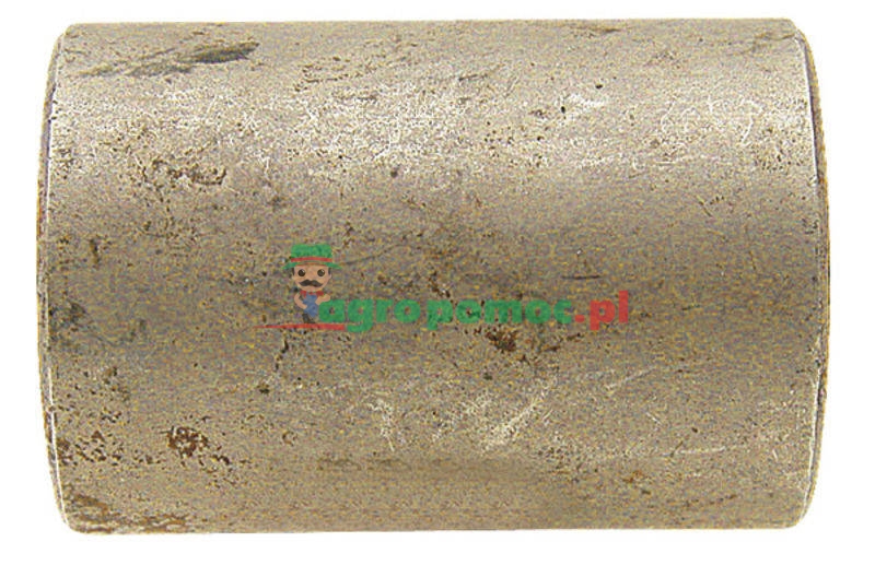 Bush | zdjęcie nr 1