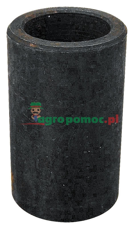 Bush | zdjęcie nr 1