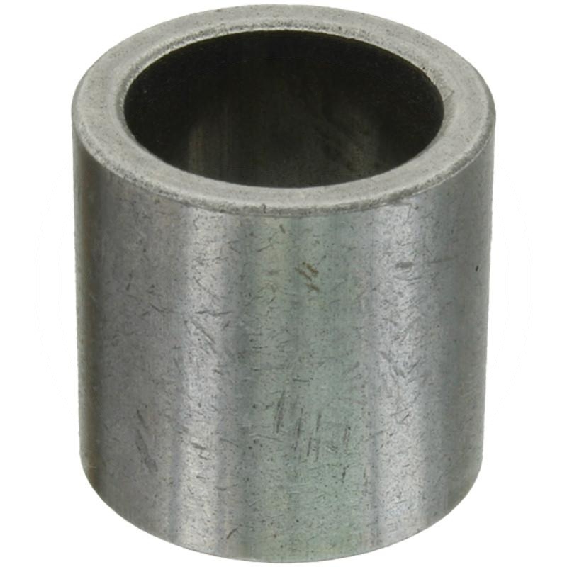 Bush | zdjęcie nr 1