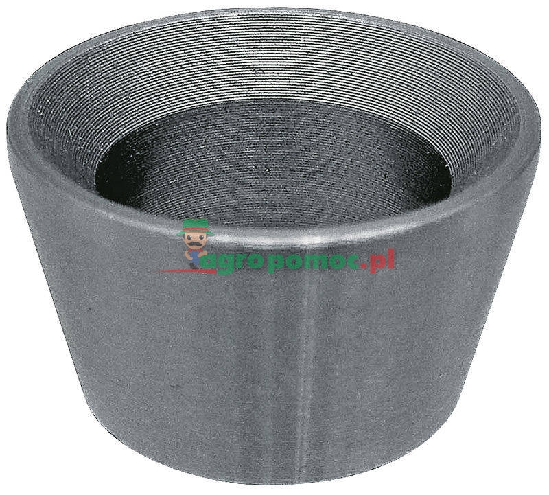 Bush | zdjęcie nr 1