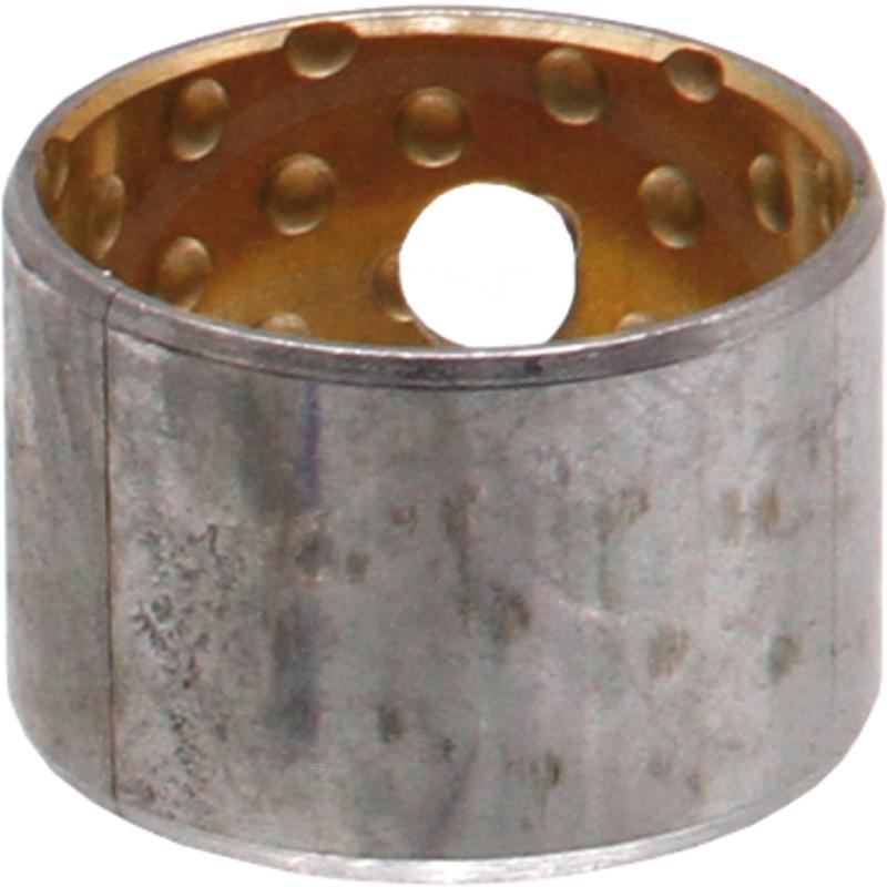 Bush | zdjęcie nr 1