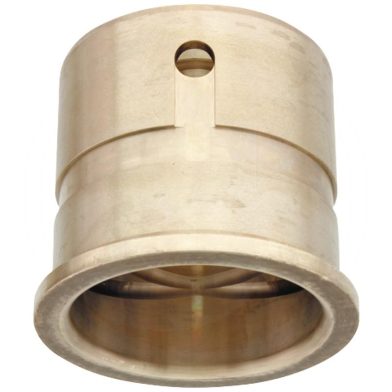 Bush | zdjęcie nr 1