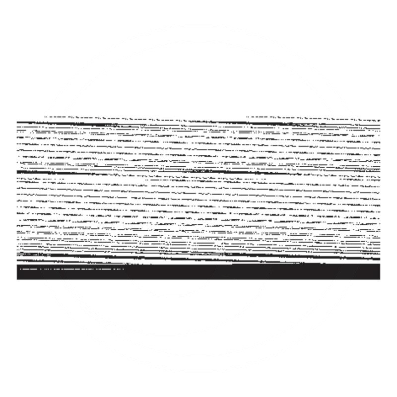 Bush | zdjęcie nr 1