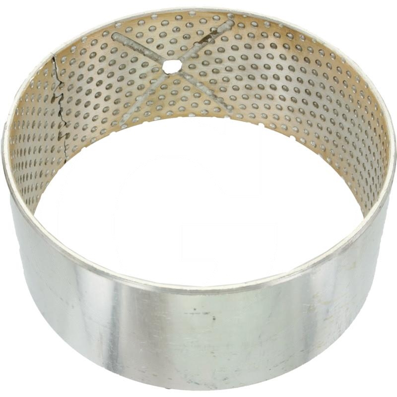 Bush | zdjęcie nr 1