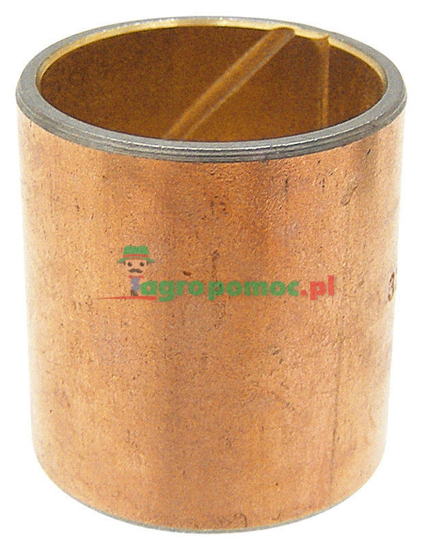 Bush | 5138177, 4964380 | zdjęcie nr 1