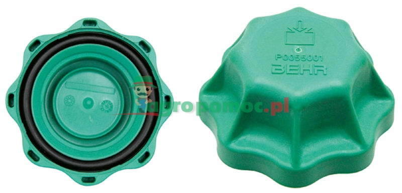 Cap | AL76661 | zdjęcie nr 1