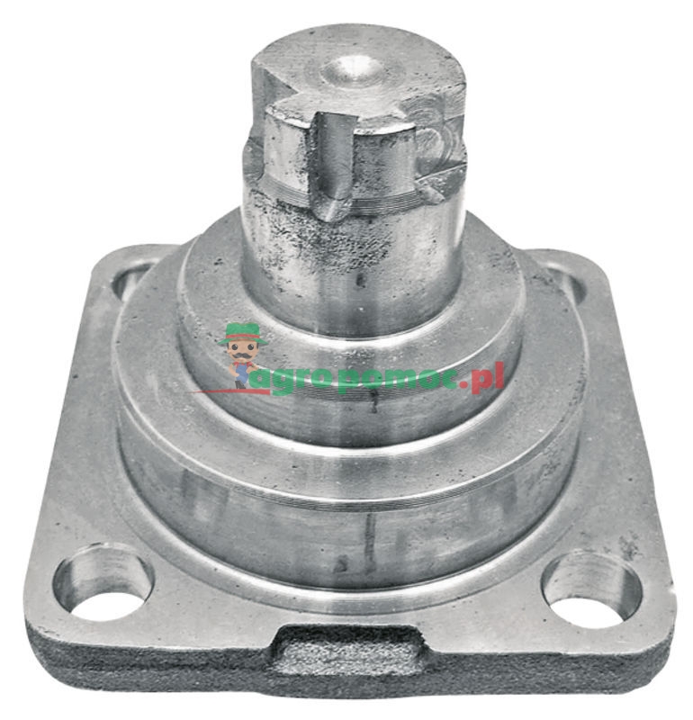 Cap Pin | F510300020400 | zdjęcie nr 1