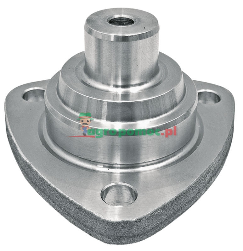 Cap Pin | 6005009876 | zdjęcie nr 1