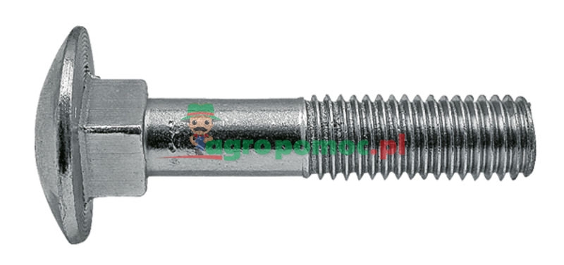 Carriage bolt | zdjęcie nr 1