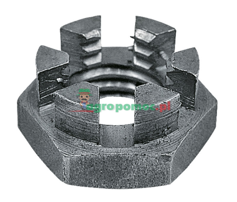 Castle nut | zdjęcie nr 1