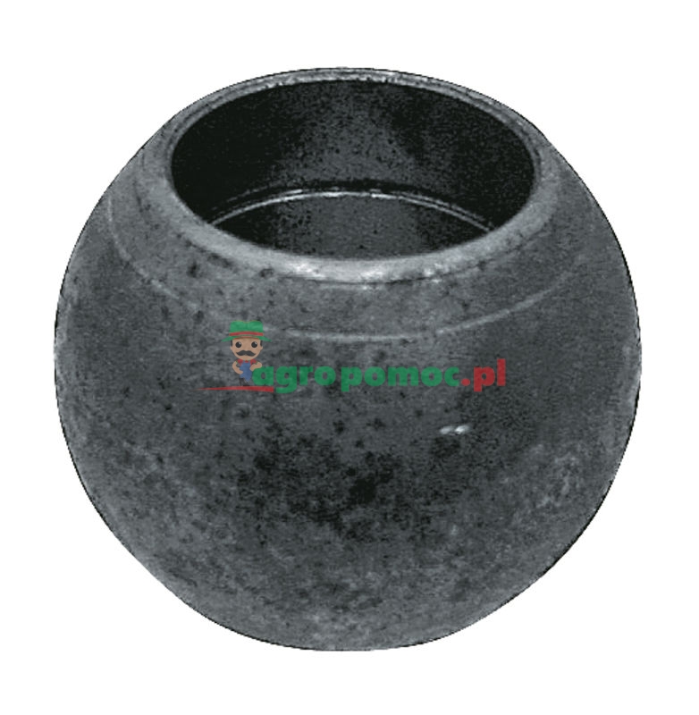 Castor | zdjęcie nr 1