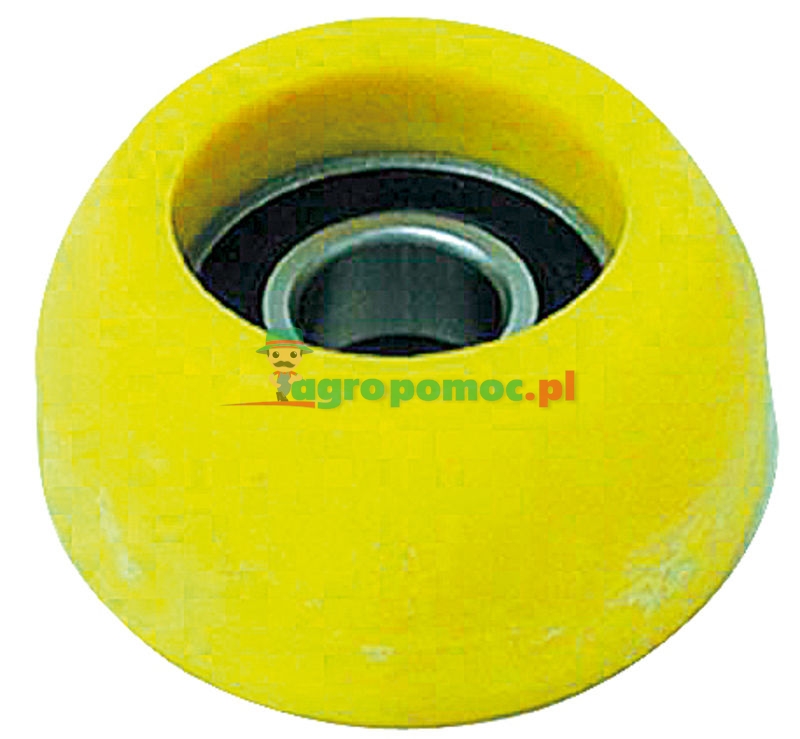 Castor | 491908 | zdjęcie nr 1