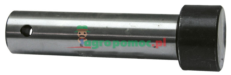 Castor | 58705100 | zdjęcie nr 1