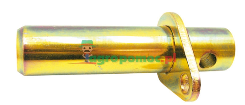 Central axle pin | 81802839 | zdjęcie nr 1