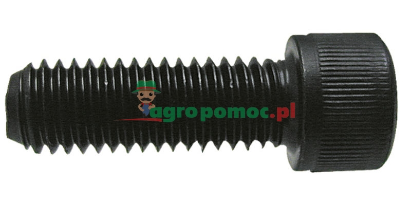 Cheese-head bolt | zdjęcie nr 1