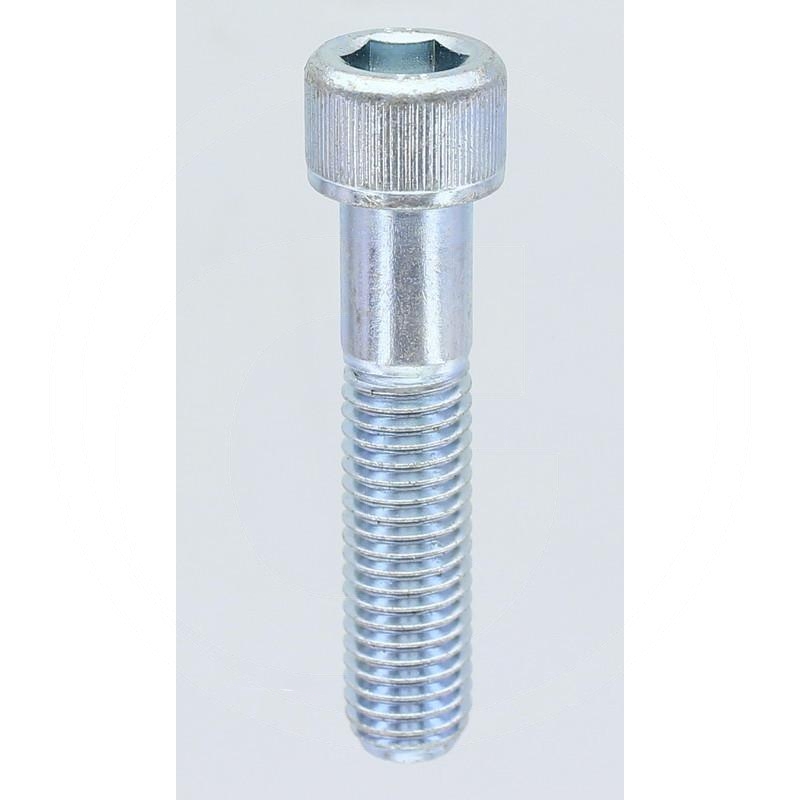 Cheese-head bolt | zdjęcie nr 1