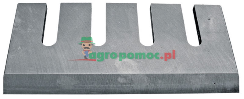 Cleaver | zdjęcie nr 1