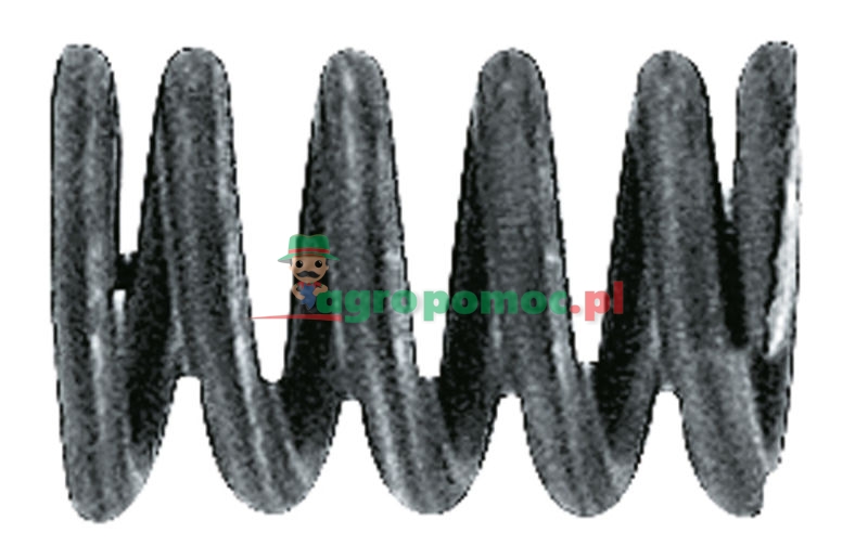 Compression spring | zdjęcie nr 1