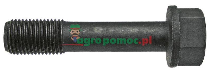 Connecting rod bolt | R80033 | zdjęcie nr 1