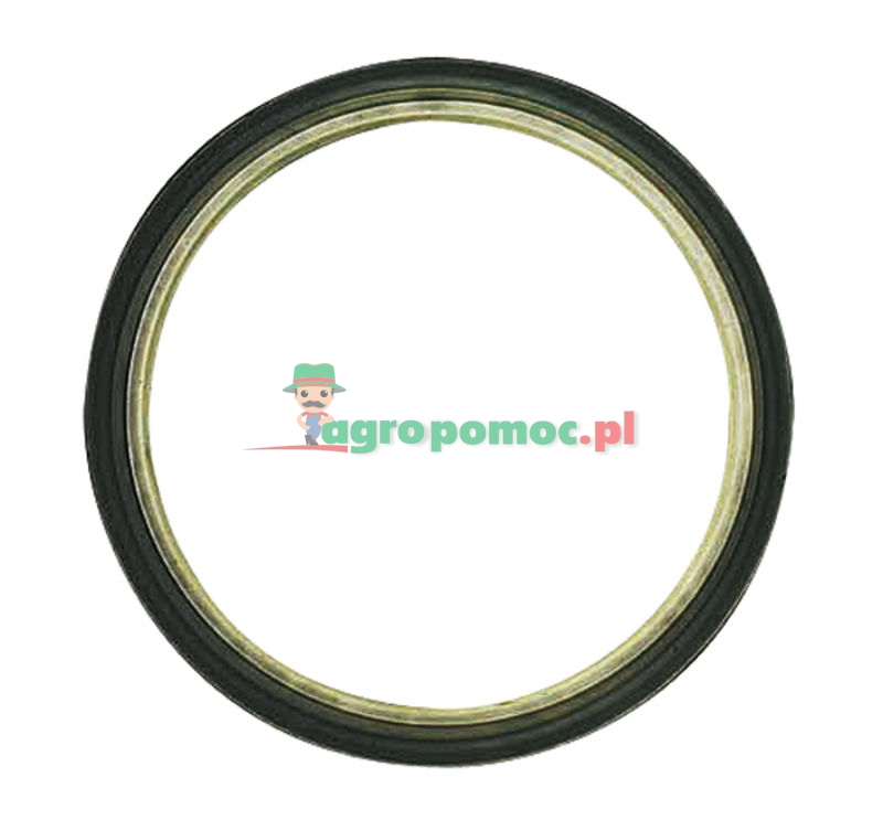 Crankshaft lip seal | 98461686 | zdjęcie nr 1