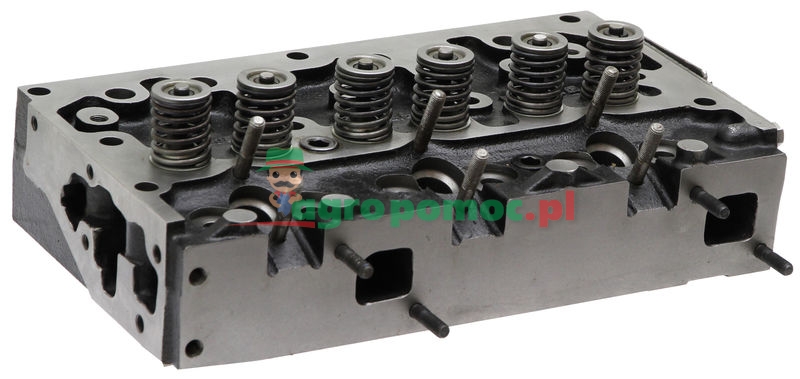 Cylinder head | 4222810M91, 3637389M91, ZZ80082, ZZ80025, A5BD2722, A5BD1969, 89141 | zdjęcie nr 1