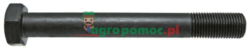 Cylinder head bolt | 739505M1, 32181425 | zdjęcie nr 1