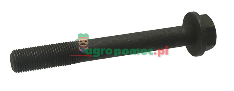 Cylinder head bolt | 747743M1 | zdjęcie nr 1