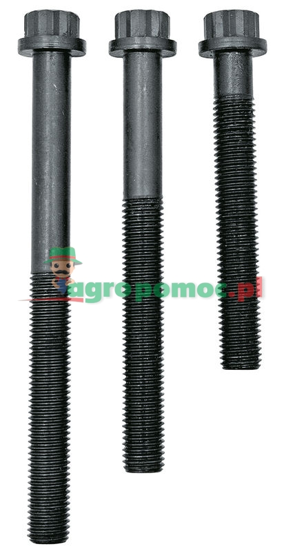 Cylinder head bolt set | 20080342213 | zdjęcie nr 1