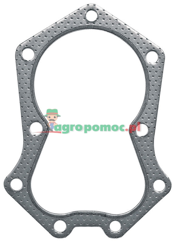 Cylinder head gasket | 5204120S, 5204120, 5205204, 5204118 | zdjęcie nr 1