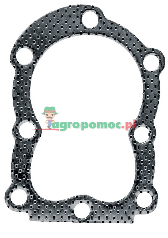 Cylinder head gasket | 272167, 027548, 027670, 4121 | zdjęcie nr 1