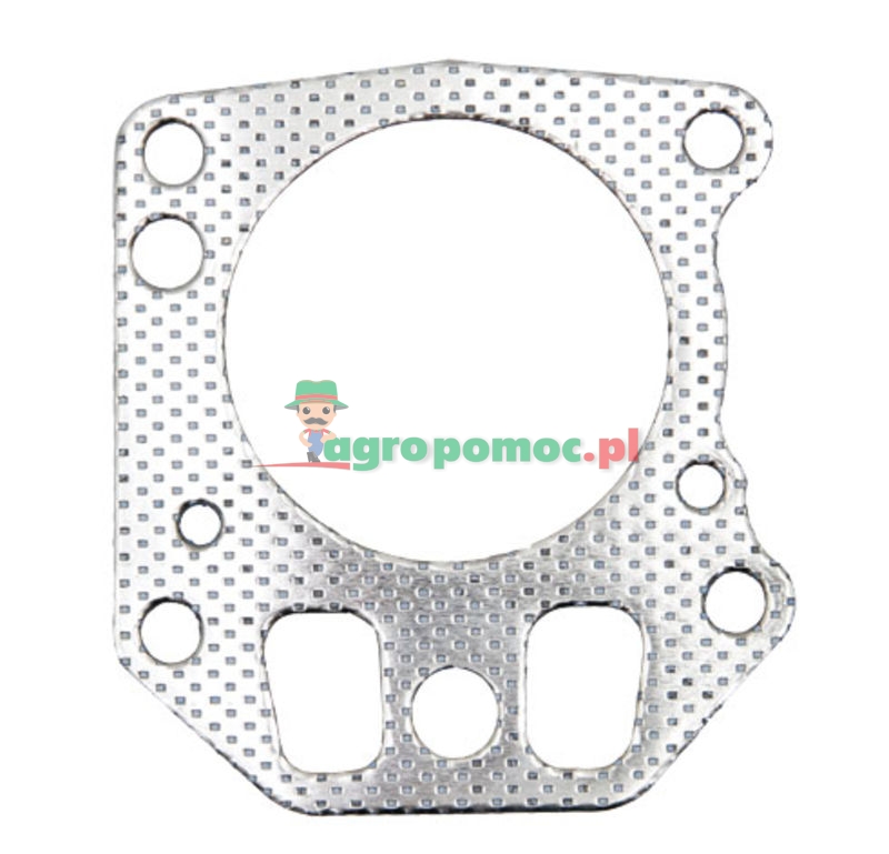 Cylinder head gasket | 697230, 695166, 698210, 273489, 692554 | zdjęcie nr 1