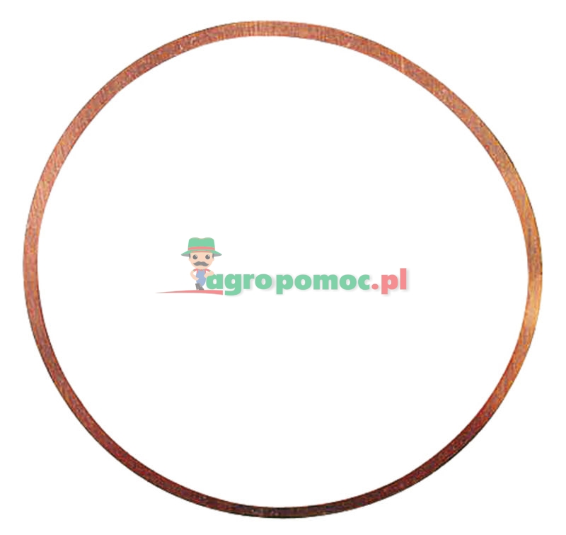 Cylinder head gasket | F230200210210 | zdjęcie nr 1