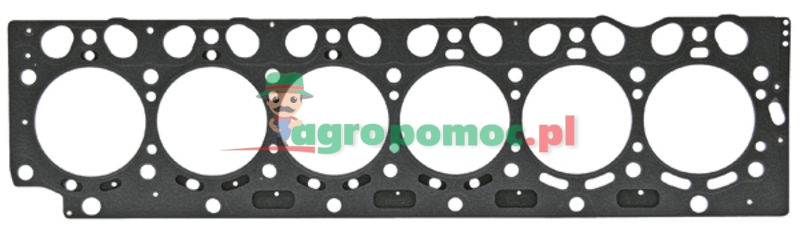 Cylinder head gasket | F731200210010 | zdjęcie nr 1