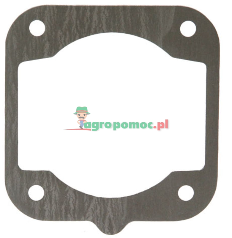 Cylinder seal | 965 531 121, 965 531 160 | zdjęcie nr 1