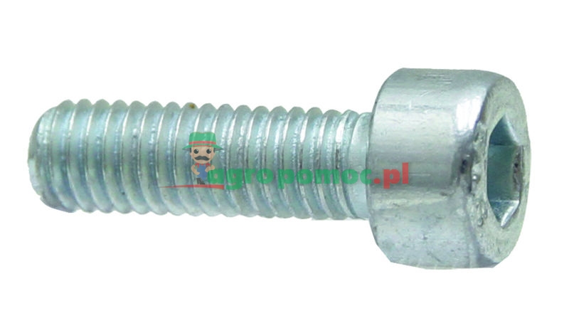 cylindrical screws | zdjęcie nr 1