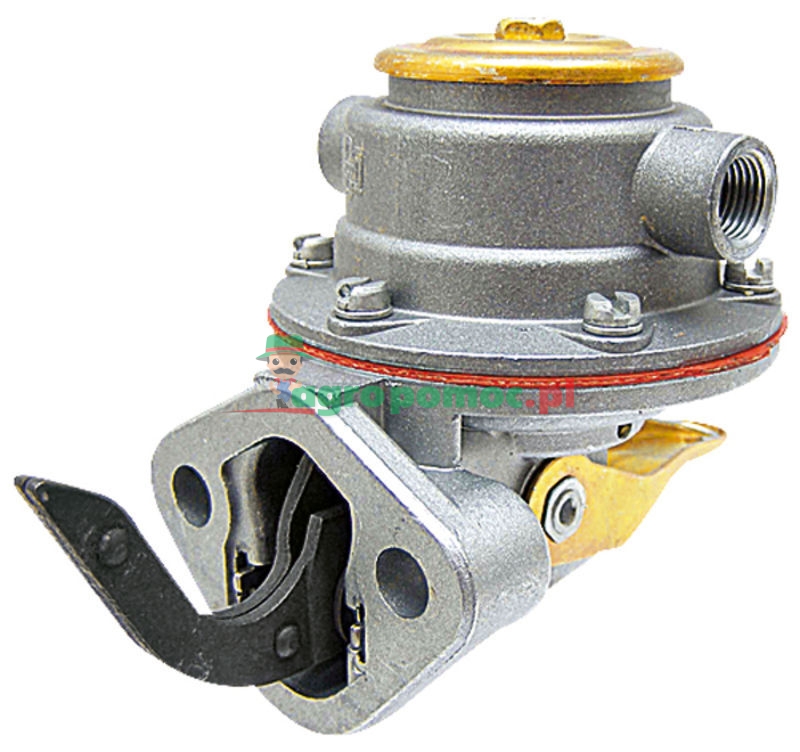 Diaphragm feeding pump | 994096 | zdjęcie nr 1
