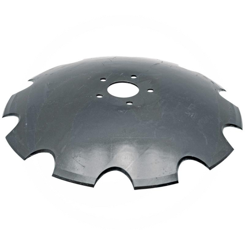 Disc | zdjęcie nr 1