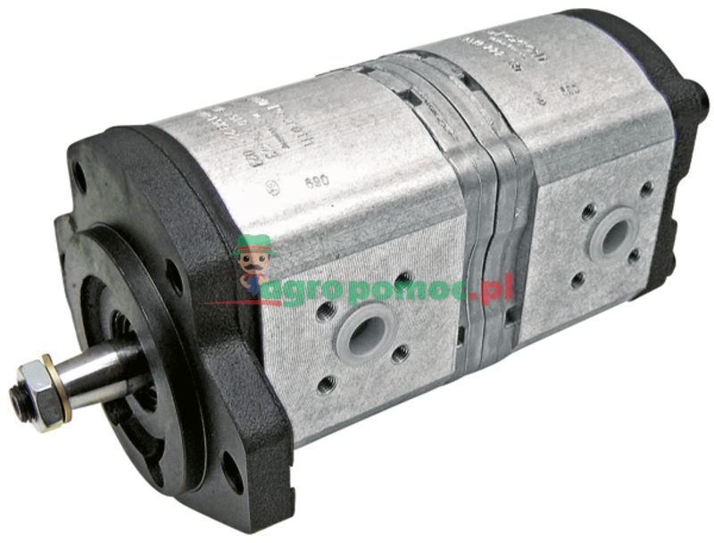 Double pump | 6005030944 | zdjęcie nr 1