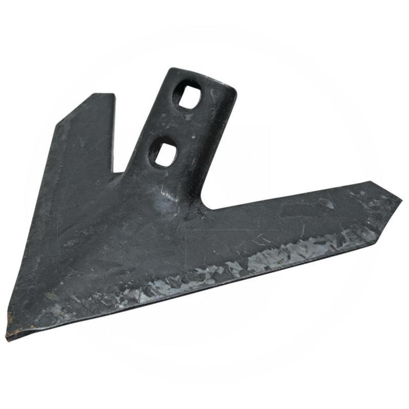 Duck foot share | zdjęcie nr 1