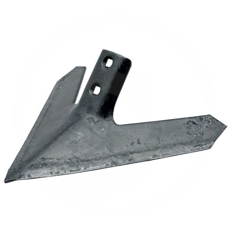 Duck foot share | zdjęcie nr 1