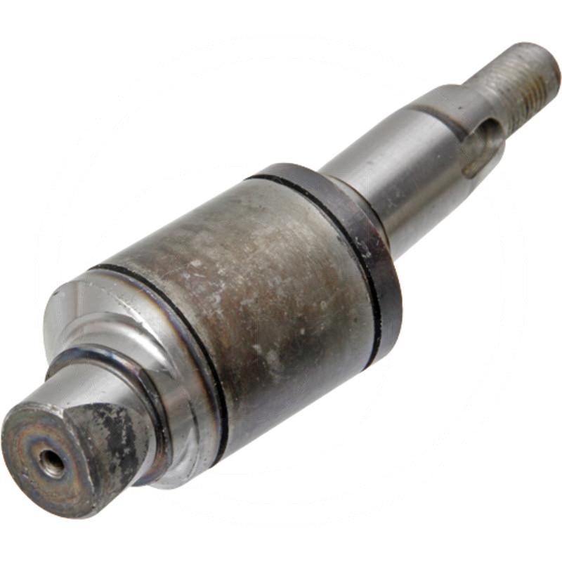 Eccentric | zdjęcie nr 1