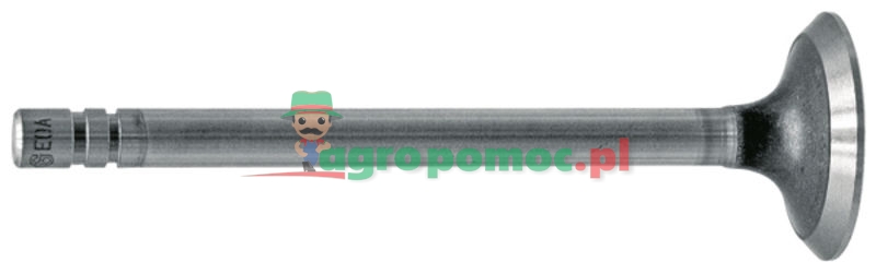 Exhaust valve | R79624, R52252 | zdjęcie nr 1