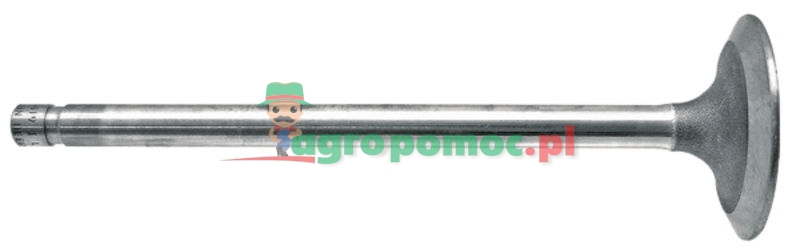 Exhaust valve | R504061, R84619 | zdjęcie nr 1