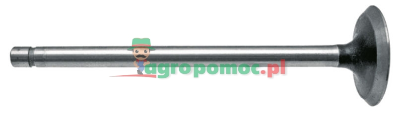 Exhaust valve | R43679 | zdjęcie nr 1